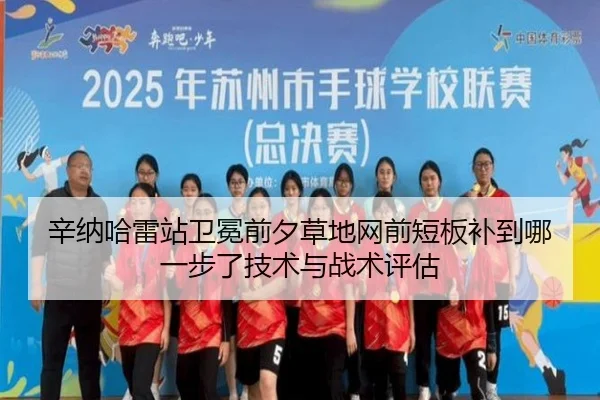 xin-na-ha-lei-zhan-wei-mian-qian-xi-cao-di-wang-qian-duan-ban-bu-dao-na-yi-bu-le-ji-shu-yu-zhan-shu-ping-gu-2-256.jpg