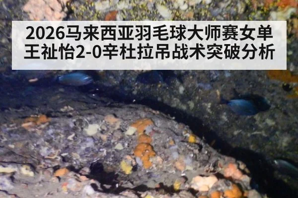 2026马来西亚羽毛球大师赛女单王祉怡2-0辛杜拉吊战术突破分析